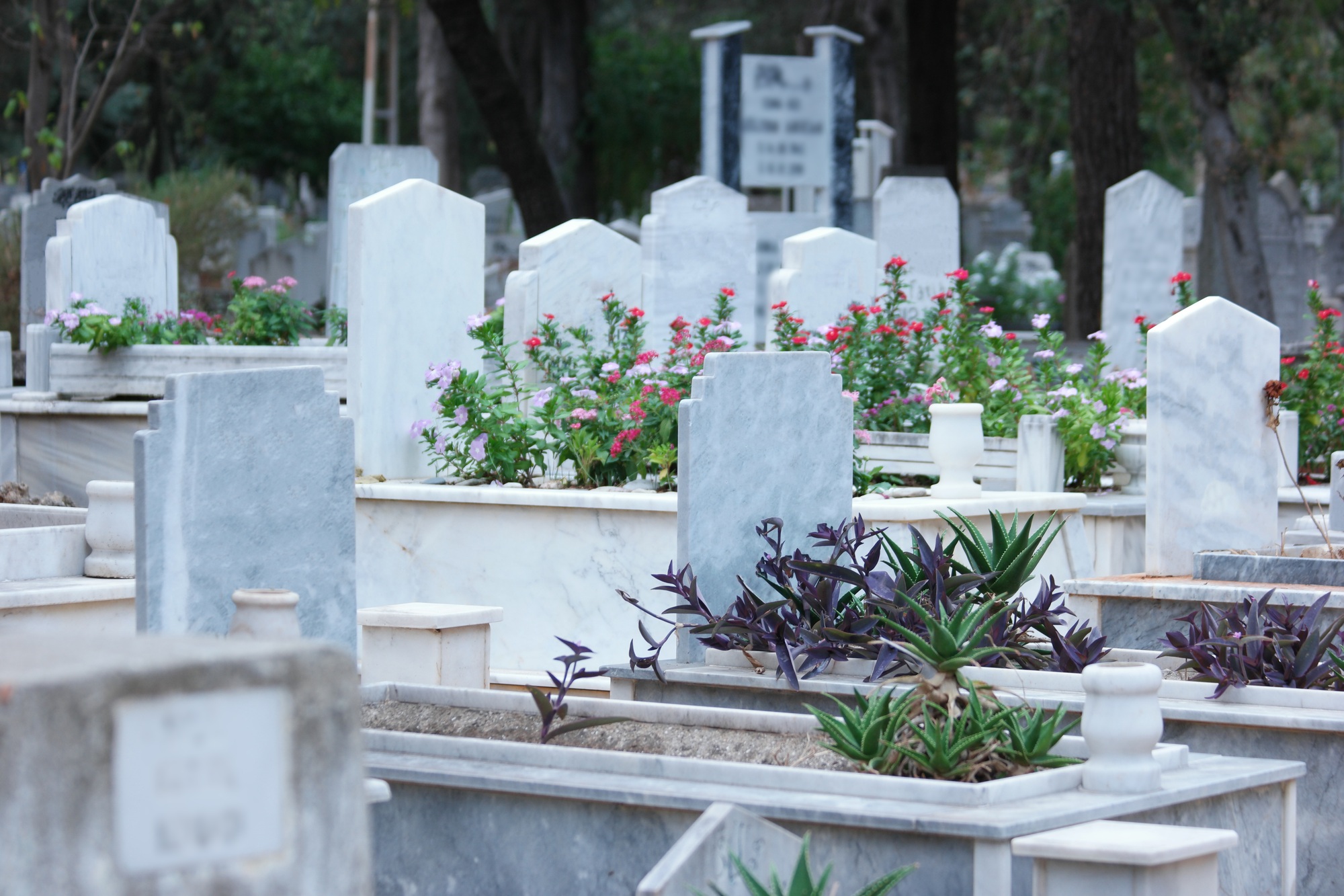 Gravestones and graves at Muslim cemetery.
